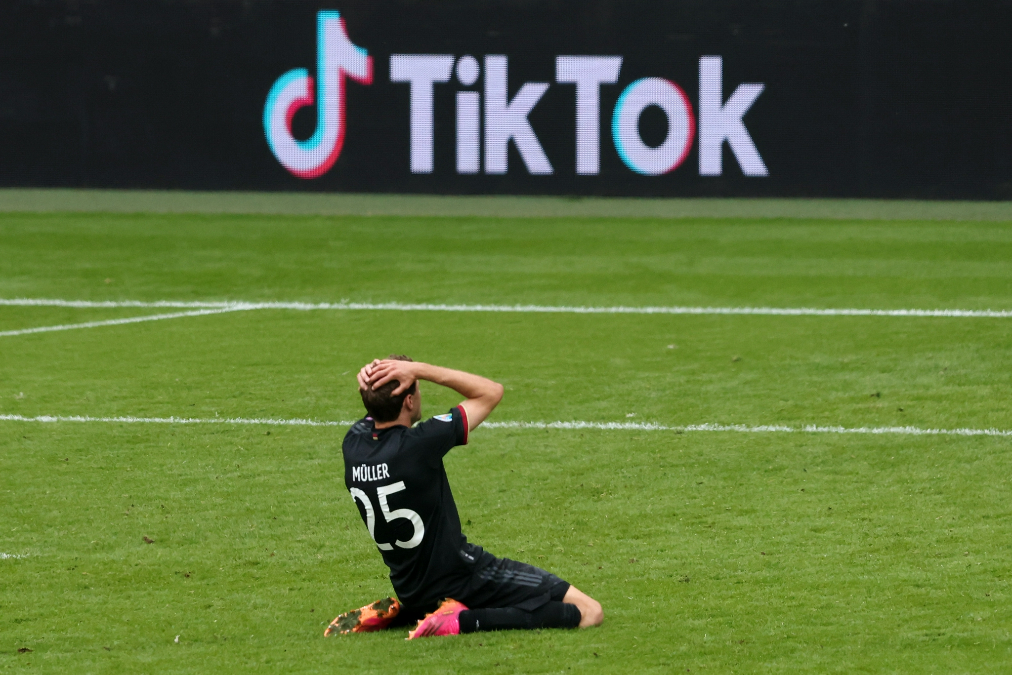 BT天堂网在线WWW中文 天堂即使官方多次打击