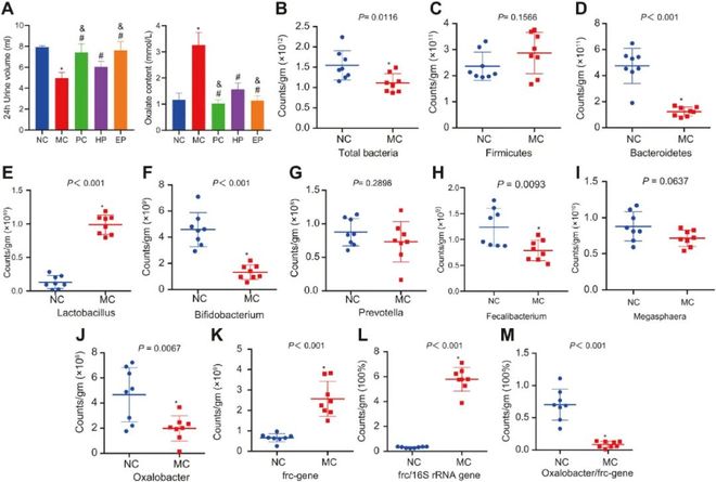 155.su黑料入口 入口降低了使用门槛