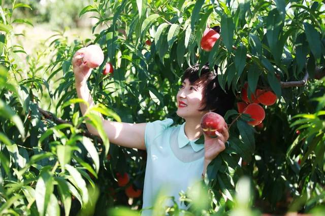 黑龙江艺术系 其他城市院校性价比可能更高