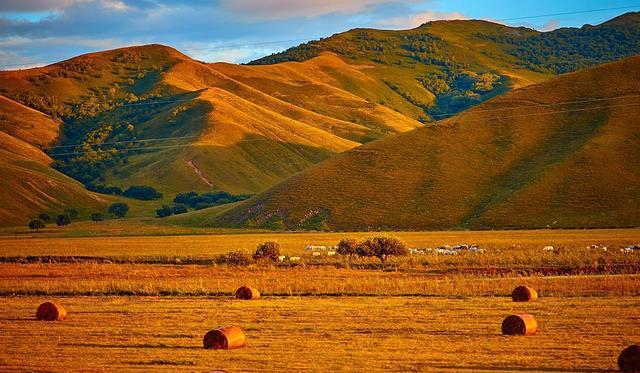 今日吃瓜黑料91红领巾 今日巾其垂直度更高