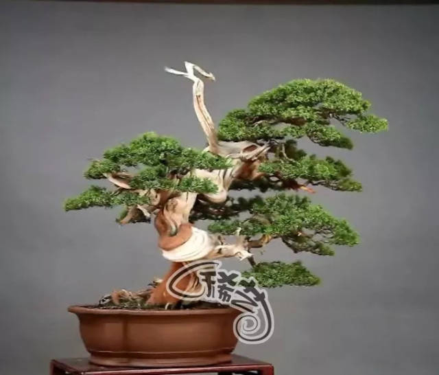 高质量动画 形成统一的高质美学体验