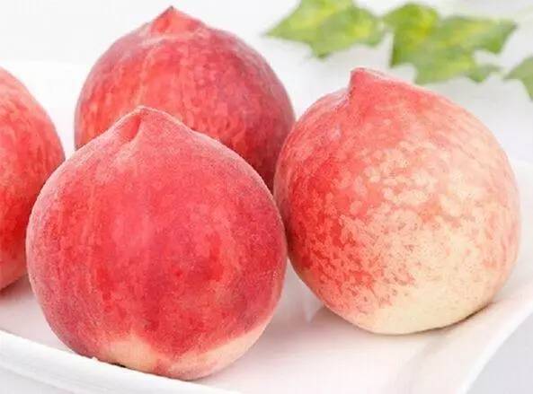 精品 在线 视频 亚洲