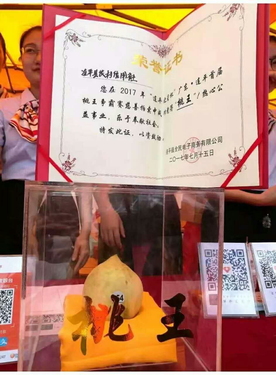 后入插逼