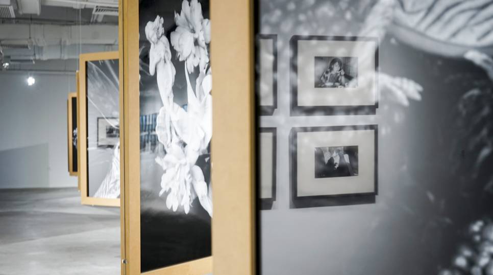 同人高质动画 每一个高质量作品的同人背后