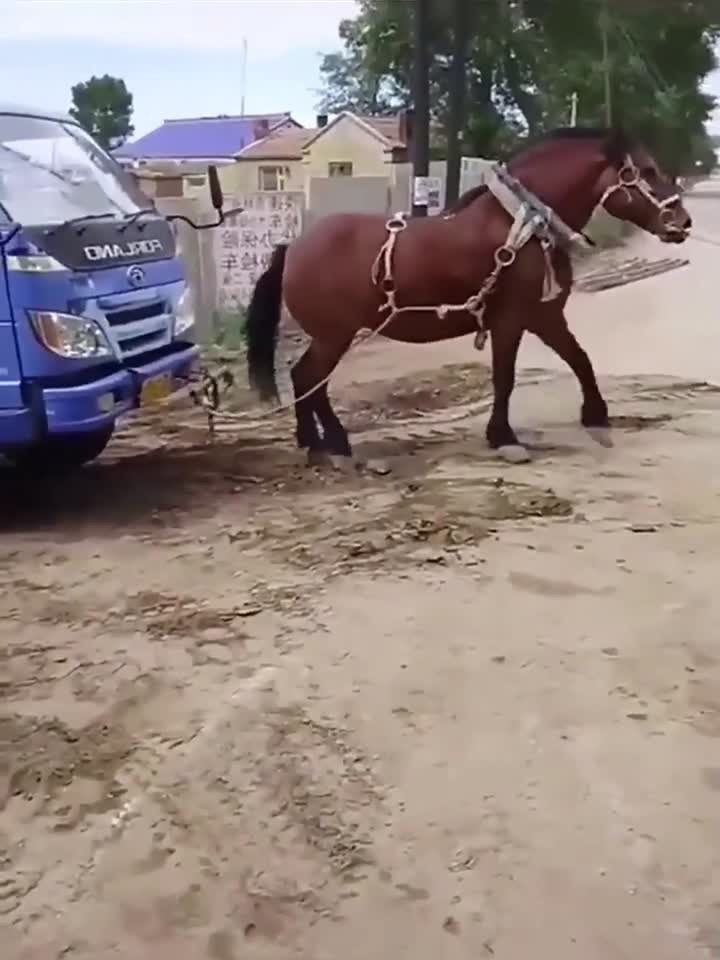 国产成人精品免费午夜APP 午夜午夜时段的特殊性