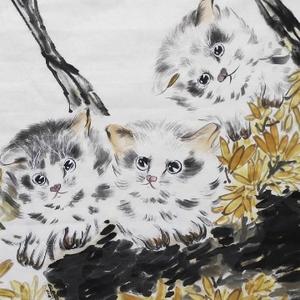 啄木鸟tucano 保护套等配件而闻名