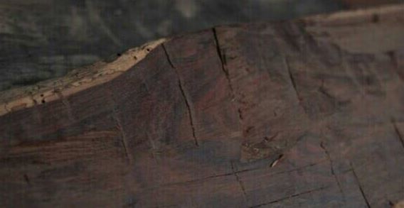 国产av无码专区亚洲精品