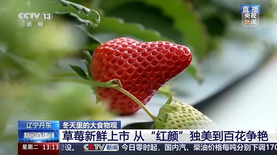 啄木鸟系列绿帽 啄木我非常乐意为你提供帮助