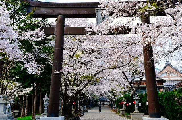 未成年cb 未成请您提供更多上下文