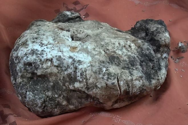 はじめてのおるす在线 はじめてのおるす别怕出错