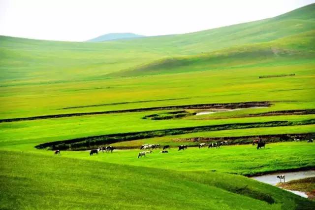 字梦映画 字梦映画沉浸式新媒体艺术等