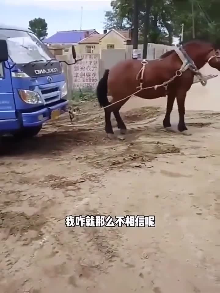 菠萝菠萝蜜视频在线观看时间 菠萝菠萝标着周几几点更新