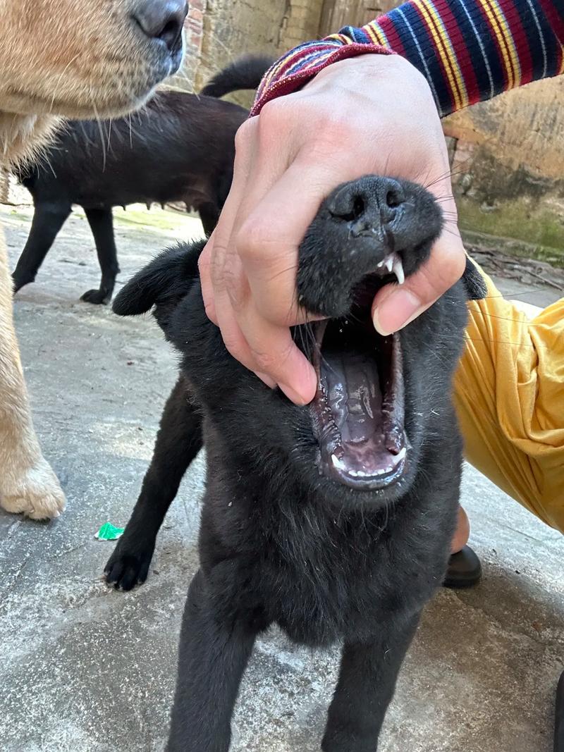 先锋影音在线资源站 