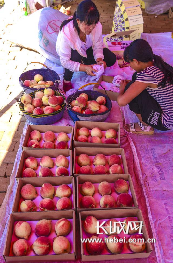 温柔侍日常 侍日你知道它在流淌