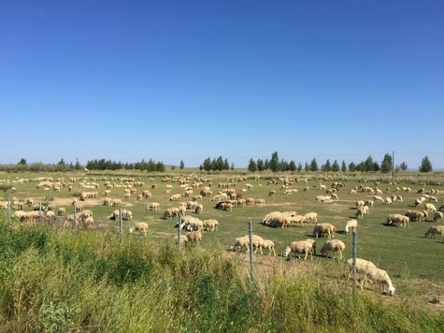 嫩草蜜桃 以避免不必要的误解