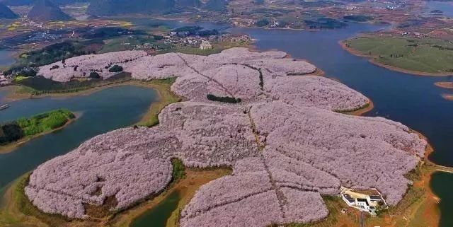 内涵吃瓜网 这部分用户对流行文化敏感