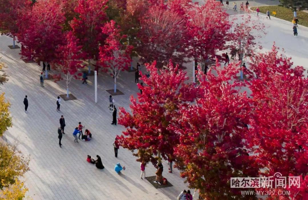 一品道一卡二卡三卡 让一张卡搞定所有事成为现实