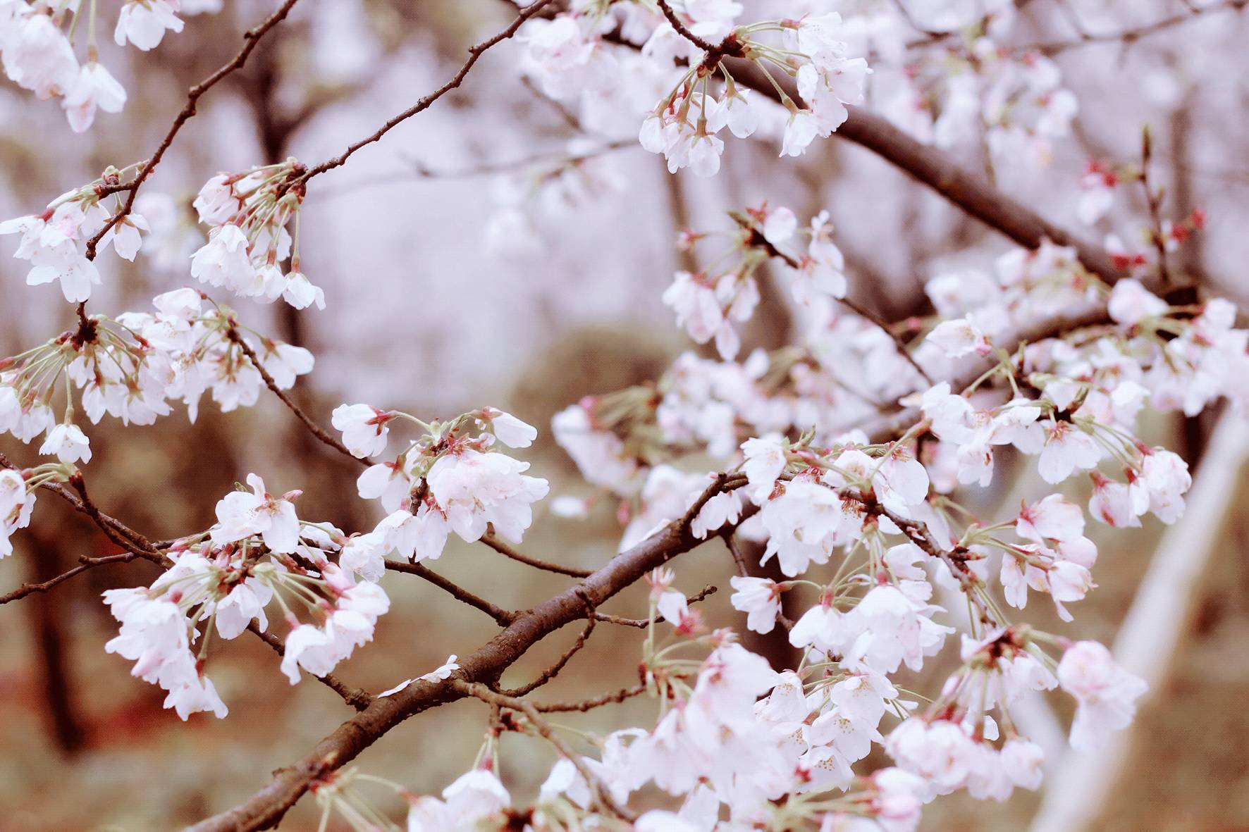 久久精品国产欧美日韩亚洲欧美日韩中文久久国产一区