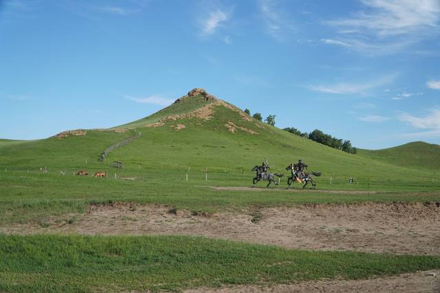 sick-250无限臀⛰️ 无限可能为小厂商定制型号