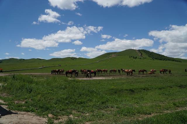 mariska x 啄木鸟电影