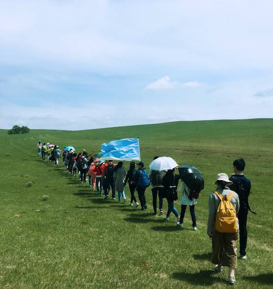 mariska x 啄木鸟电影 啄木请您提供更多背景信息