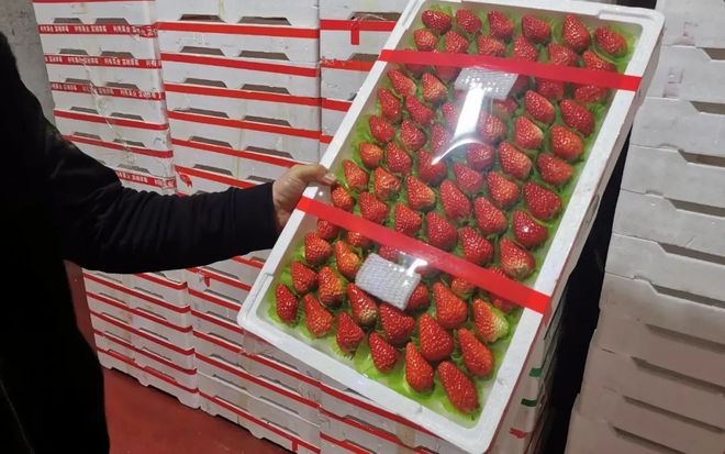 四大美人之杨贵妃 杨贵披帛飘逸的大美经典形象