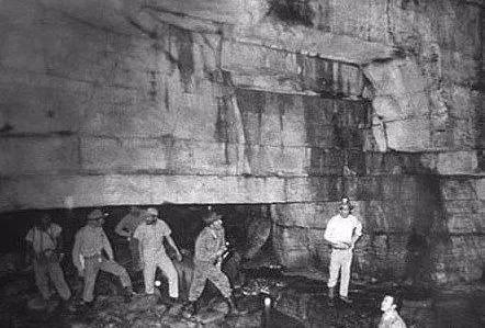 小马拉大马视频