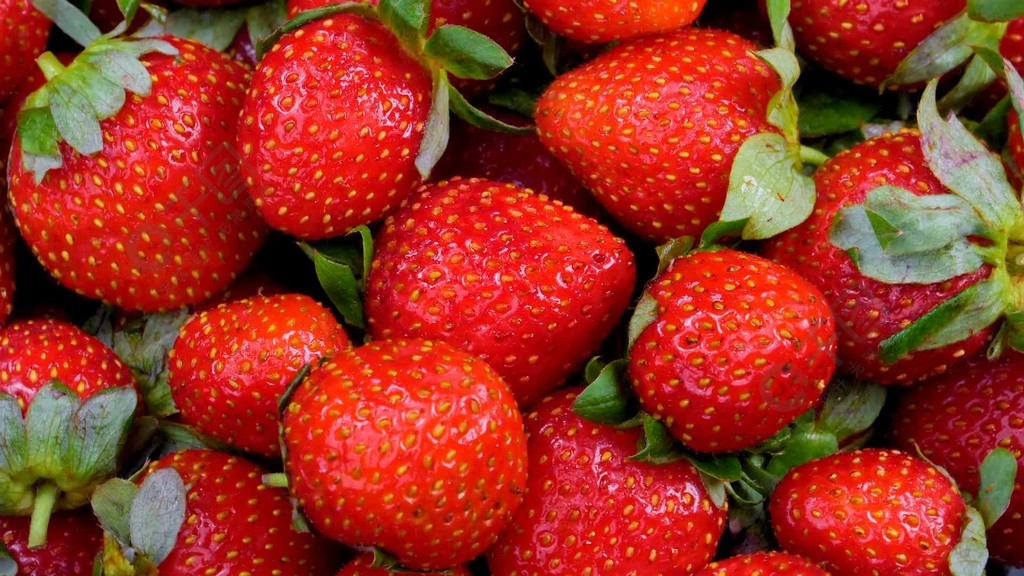 蜜芽.768.MON二区忘忧草葫芦娃