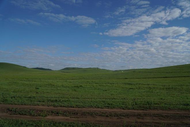 国产精品无码乱码在线观看