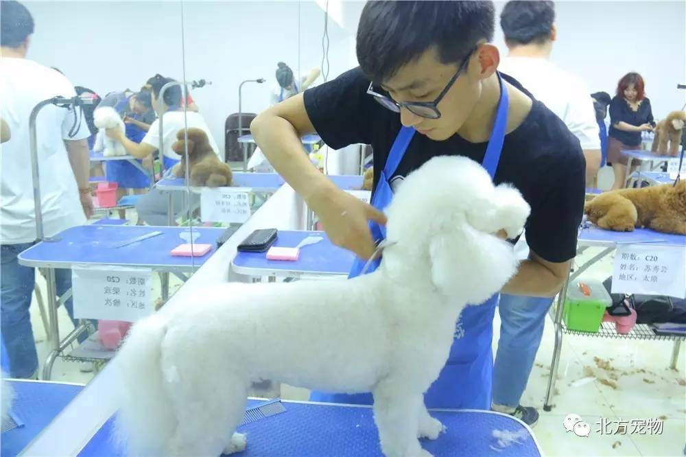 小千视频 UP主或创作者的昵称