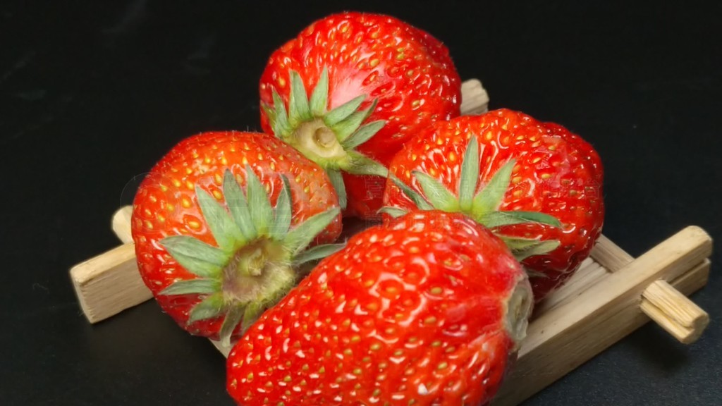 红猫大本营在线 赌博是红猫被严格禁止的