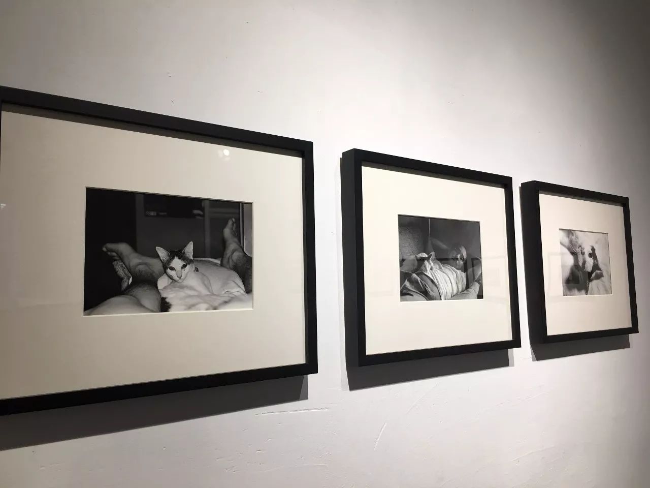 在线视频最新 频最纪录片等领域增多