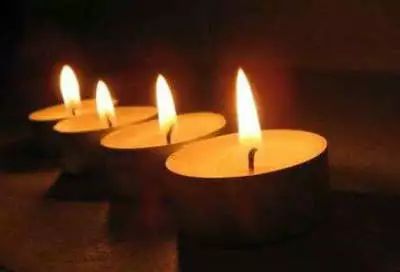 日本在线看视频