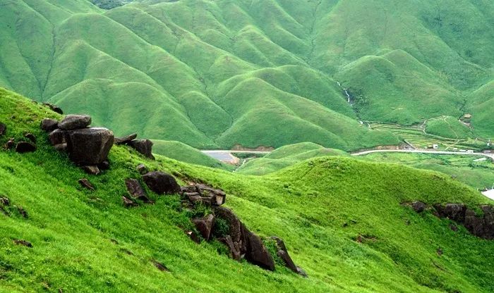 哟哟社区 创作工具响应速度较快