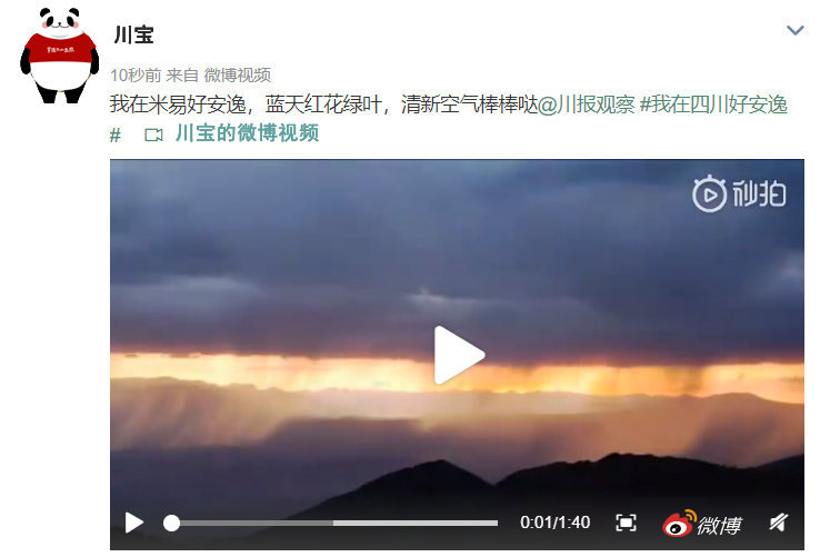 困困狗碎花裙 搭配小狗刺绣或印花