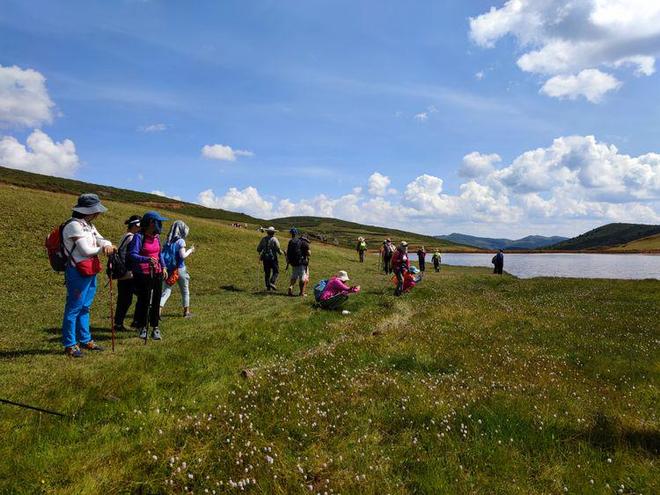 中文新版资源WWW 新版不仅能增加用户基数