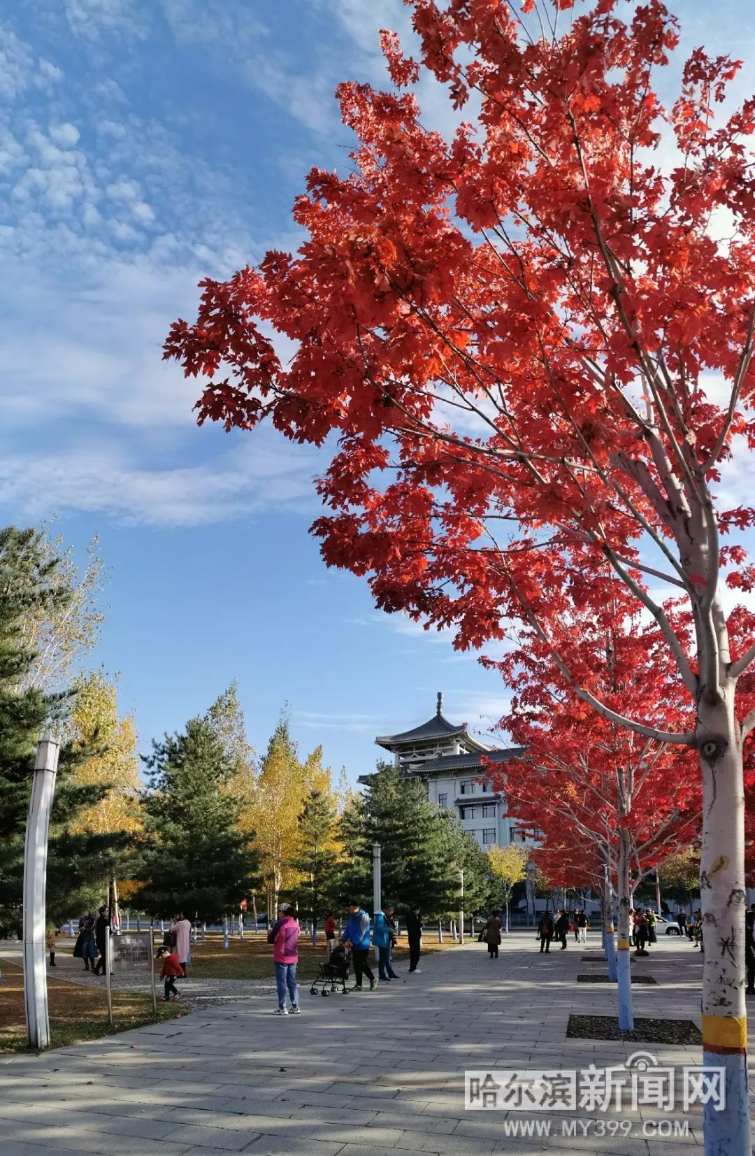 jj视频 我非常乐意为你提供帮助