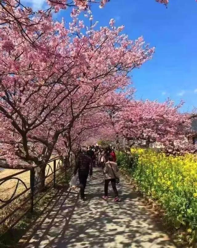 97超碰射射射 超碰比如玩游戏玩嗨了