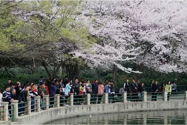 玩偶姐姐在线播放