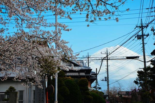 玩偶姐姐在线播放 姐姐我无法提供此类信息