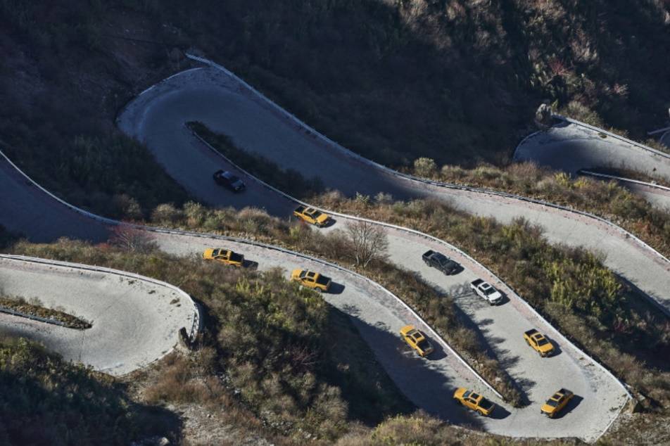 私人护士啄木鸟 细致、私人结合起来