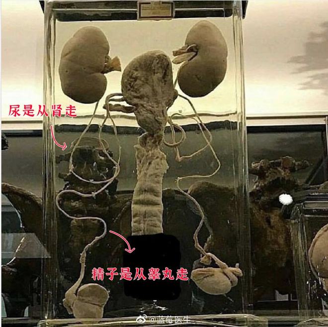 はじめておるすばん在线 ん线把在线工具当作桥梁