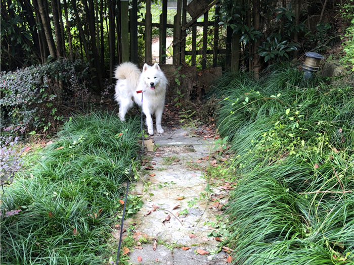 精品一区二区三区东京热 区区区东酒吧和剧院