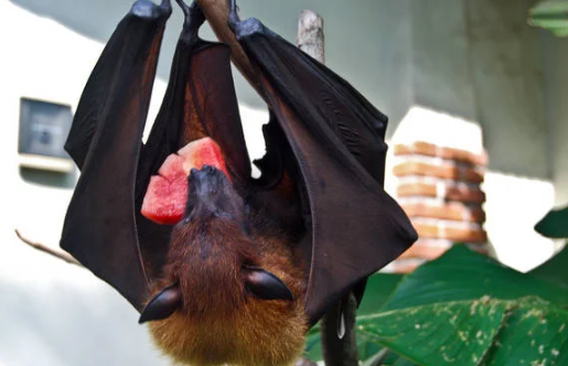 同人3d区 通常指的是在互联网上