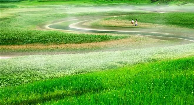 蜜桃视频破解版下载