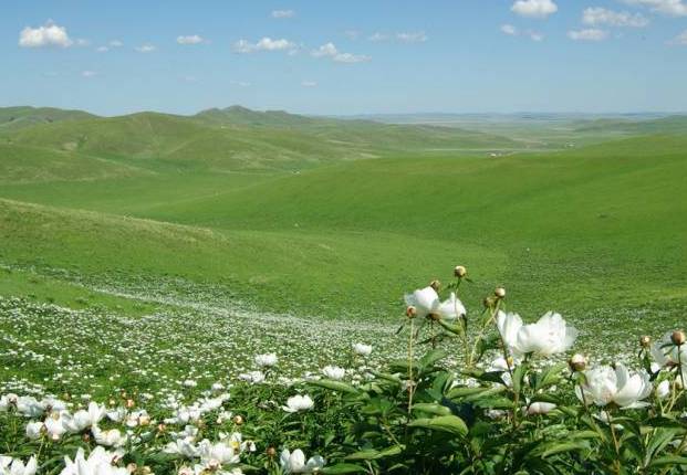 redrain +动 画 全 集