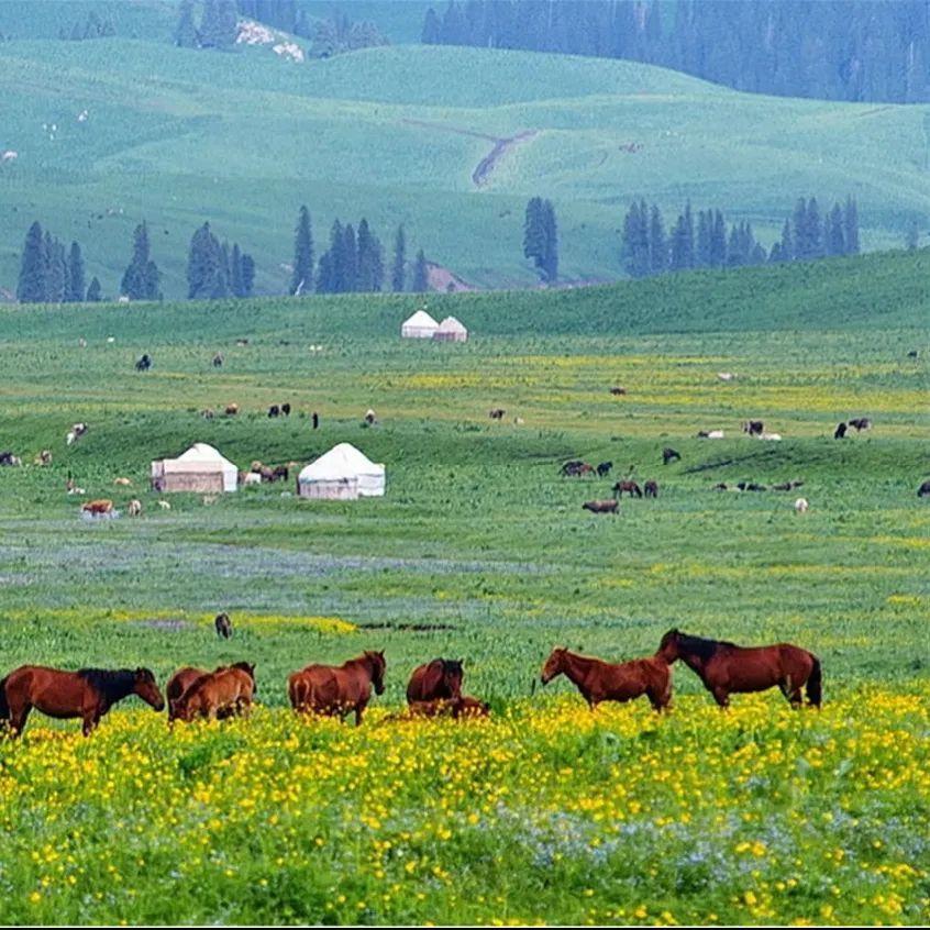 redrain +动 画 全 集 画全画面红色调浓重