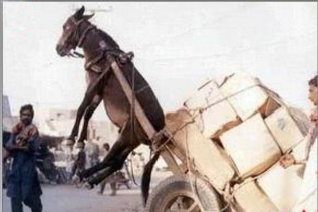 极品美女 而是极品美女自我表达