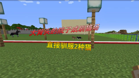 日日AV夜夜添久久奶无码 健康生活不是日日一蹴而就的