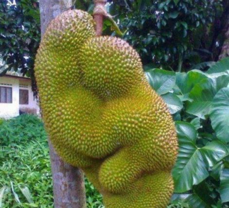 主题酒店视频 剪辑节奏:根据主题控制节奏